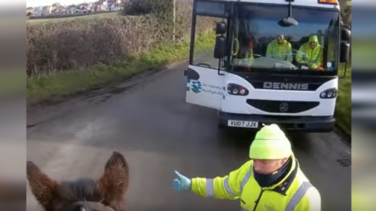 horse and garbage man in yellow