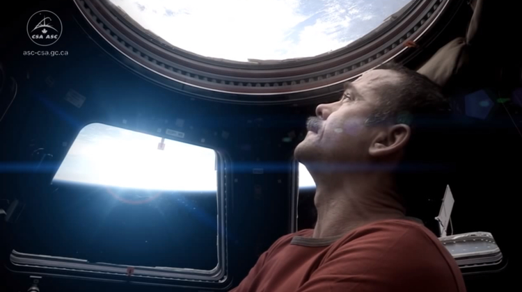 Chris Hadfield Looking Into Space