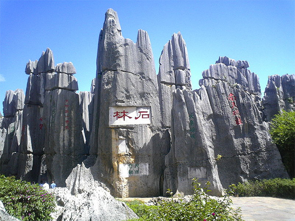 stone-forest-2