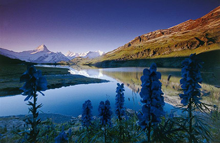 nature