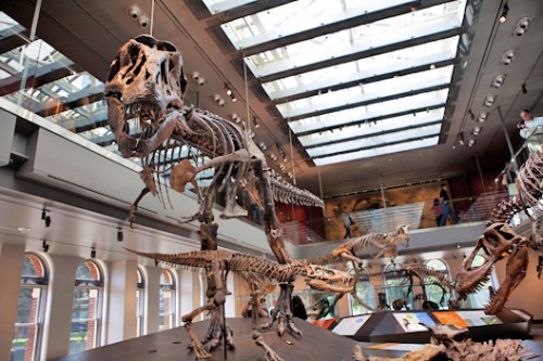 Smithsonian Dino