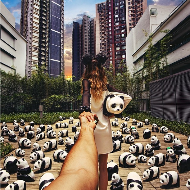 pandas in hong kong