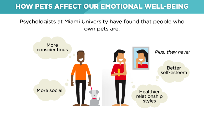 pets affect our emotions