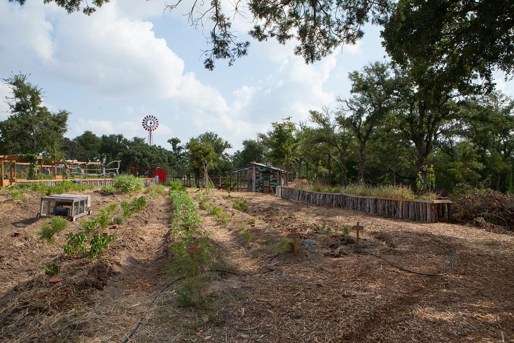 community garden for residents