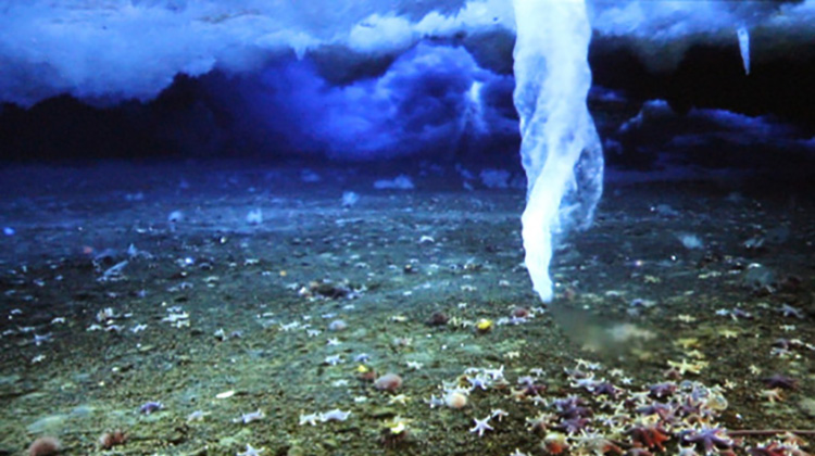 ocean and underwater phenomenons-inpsireMore