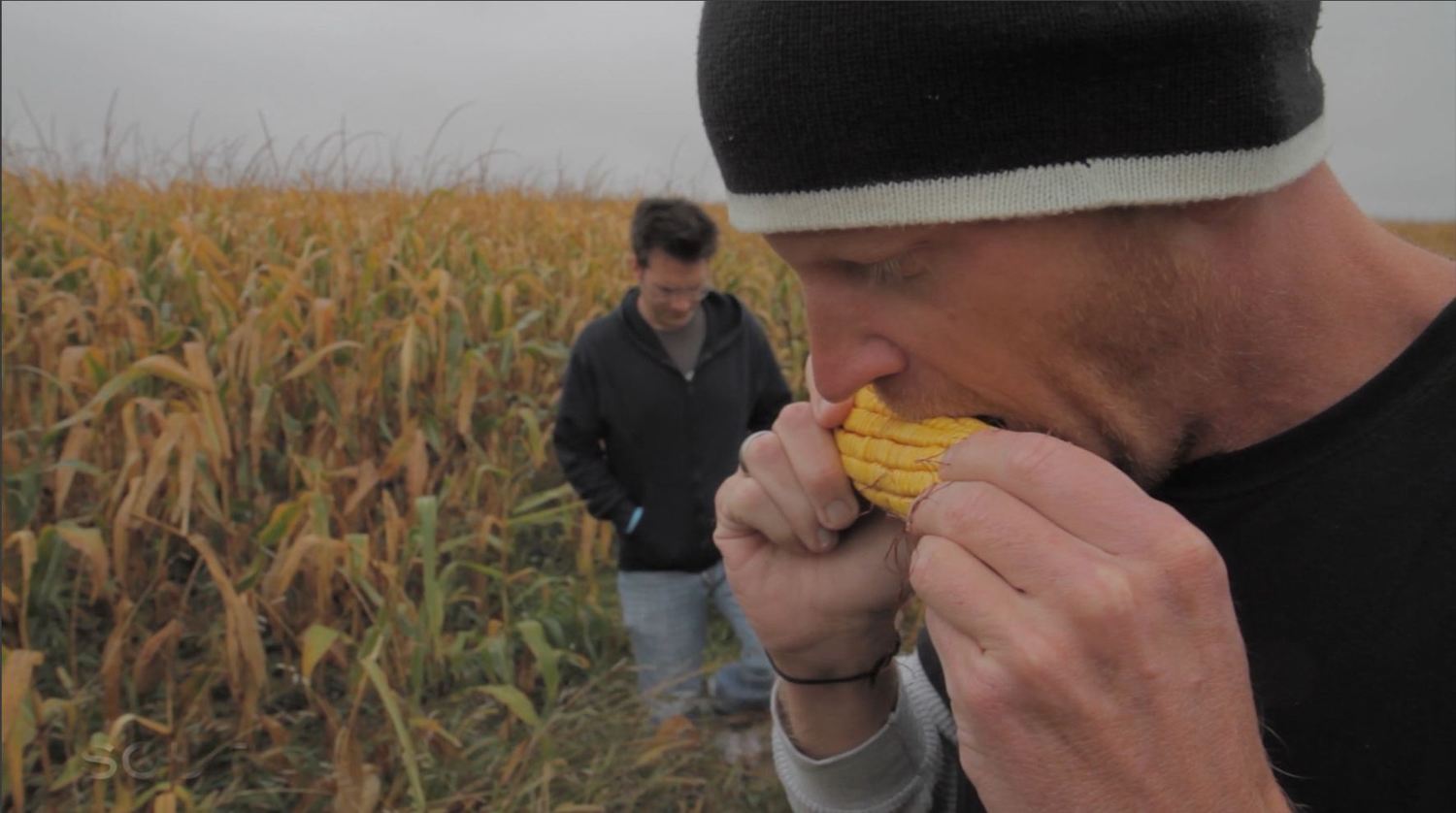 tod eating corn