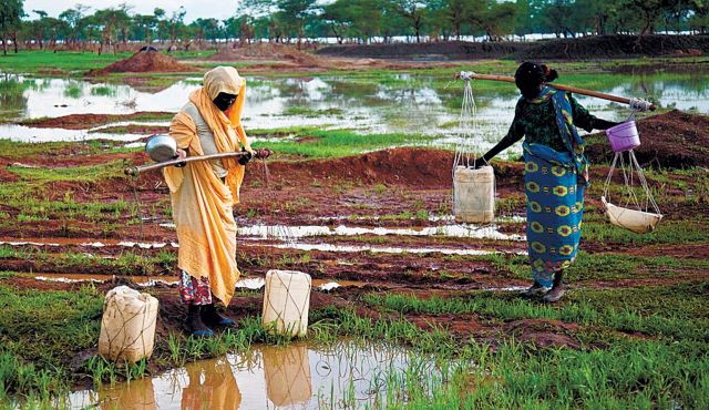 women collecting water, refugees