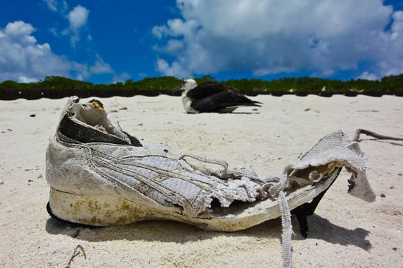 beach litter