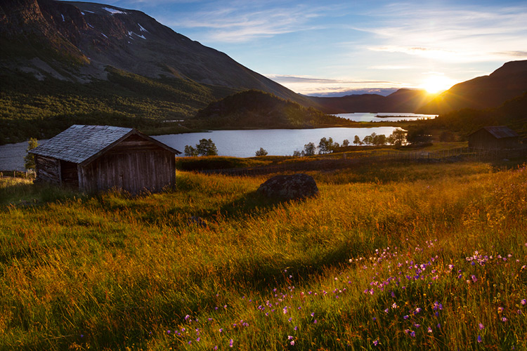 Picture of mountain field at sunset in Valdres, Norway