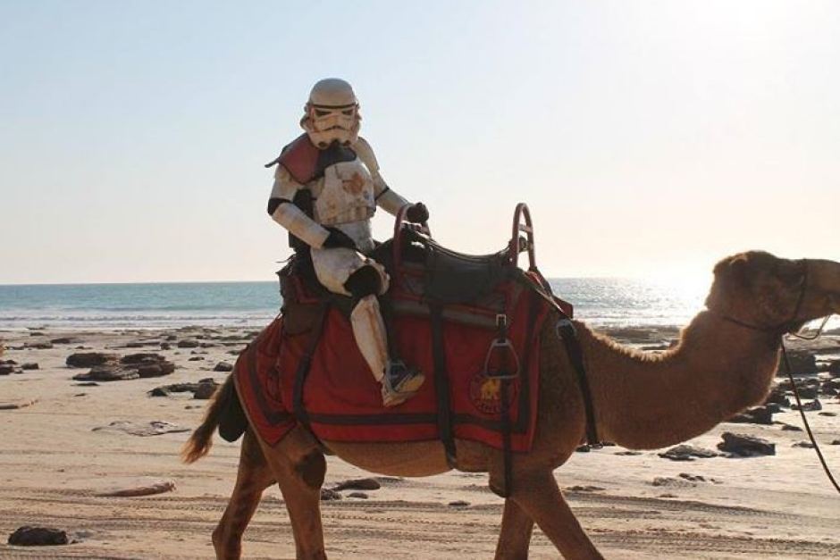 scott loxley storming australia on a camel