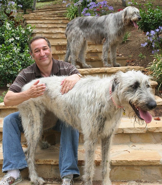 sam simon and large dog