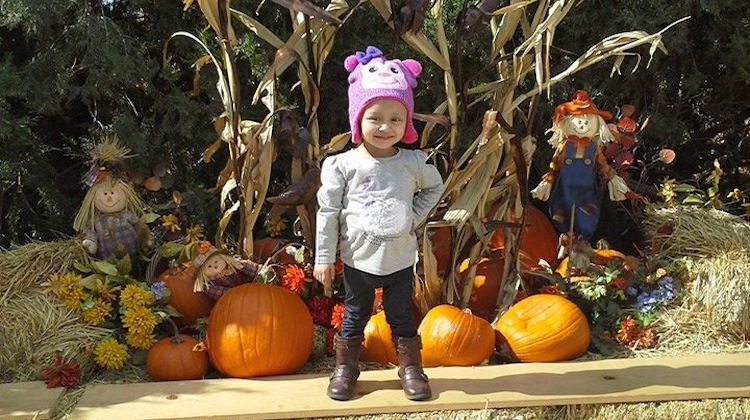 zadee lopez at pumpkin patch