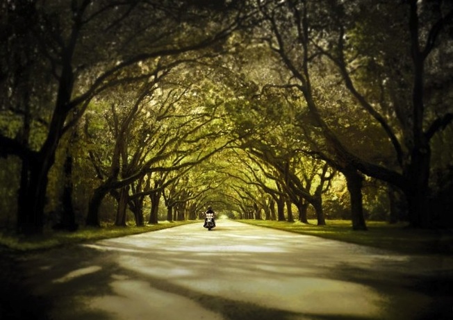 scenic roads for riders