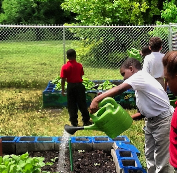 students planting in community garden 