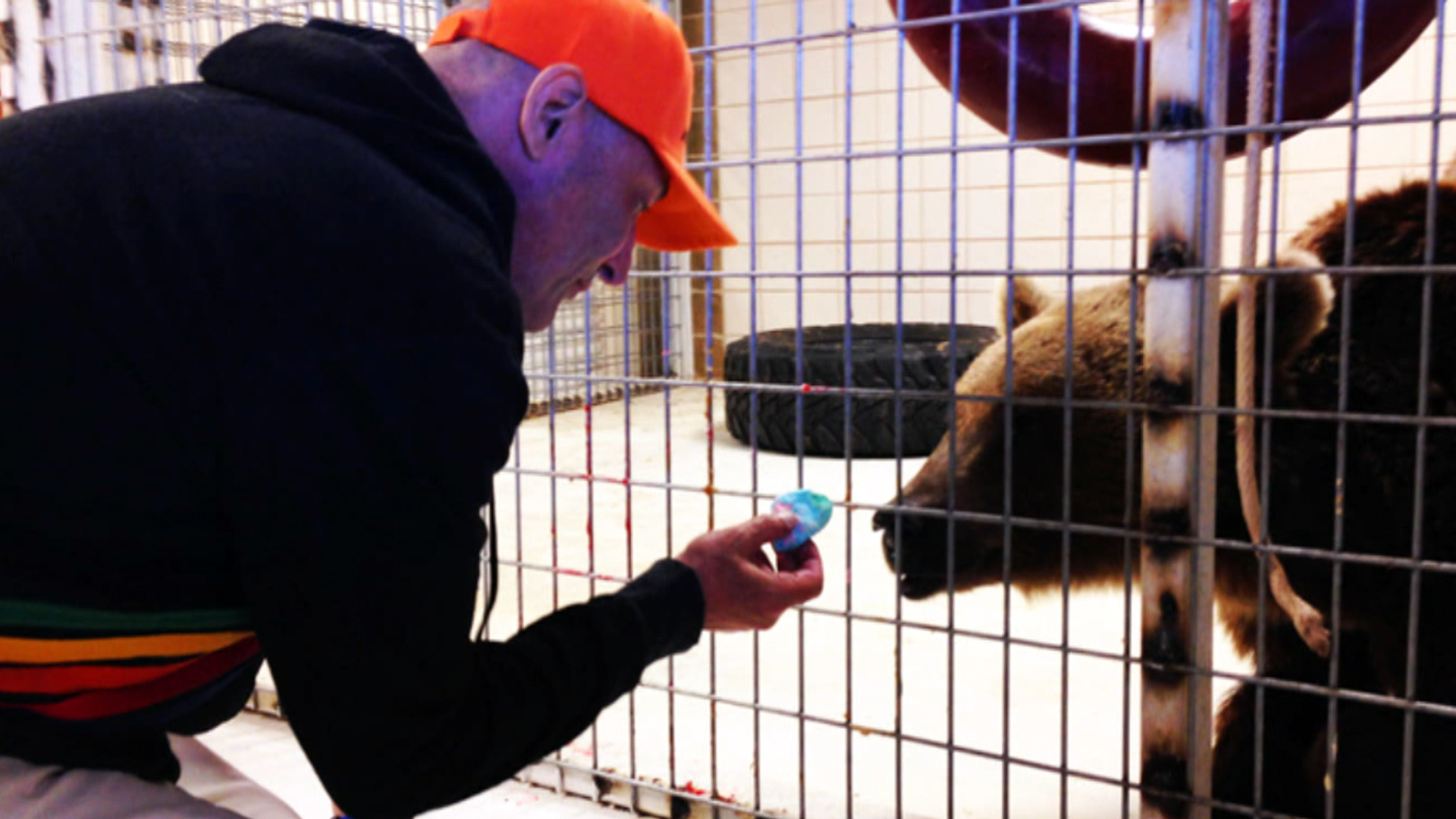 sam simon feeding a bear