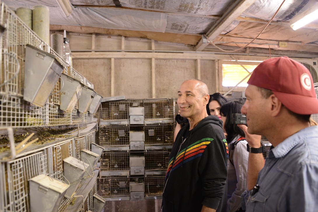sam simon looking at animals in cages