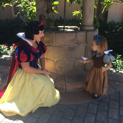 snow white lane rouch