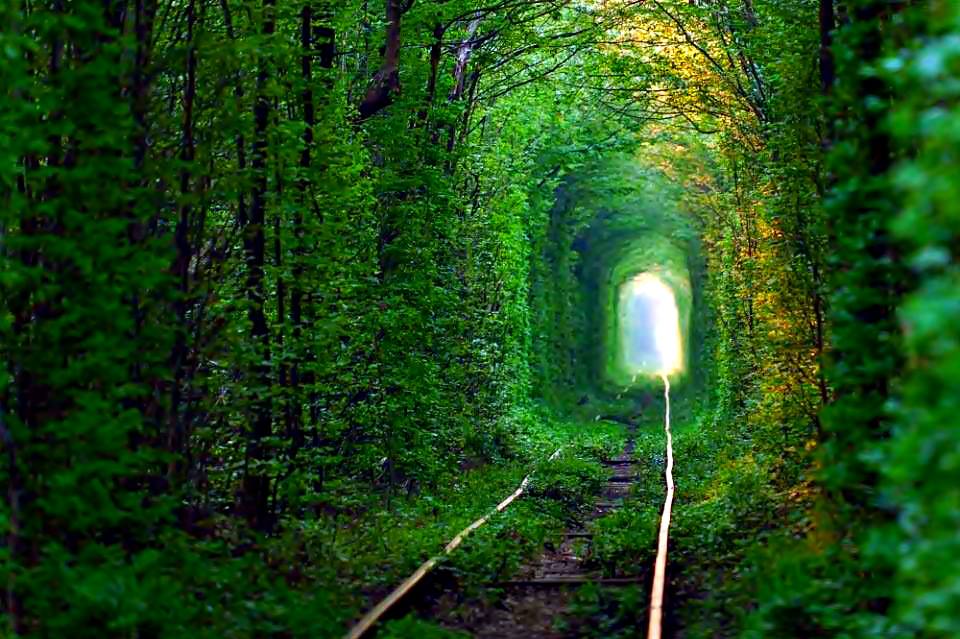 ukraine tunnel of love