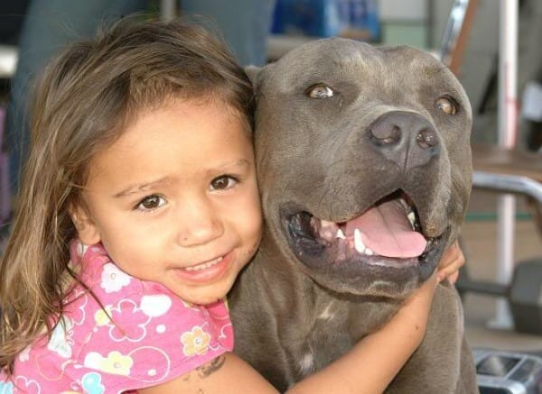 Pitbull-And-Little-Girl-600x437