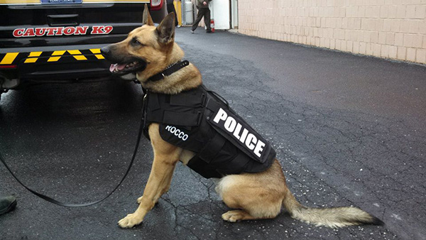 xvgee-cooper-donates-k9-vests-2