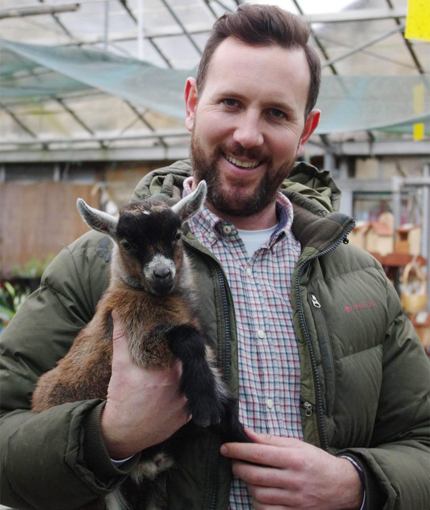 Pygmy Goats Angling to Take Dog's Place as 'Man's Best Friend
