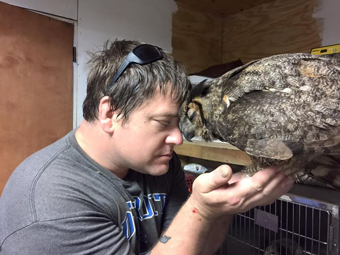 rescue-owl-hugs-man-gigi-douglas-pojeky-3