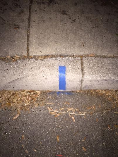 11218963_10153594972124910_275915845513053688_n