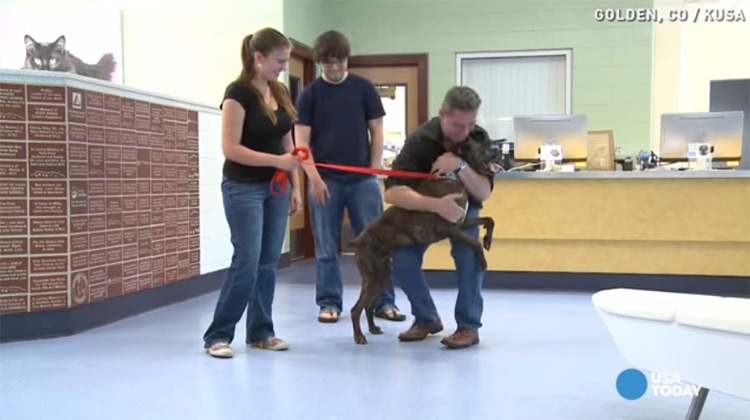 Boozer puppy reunited with family