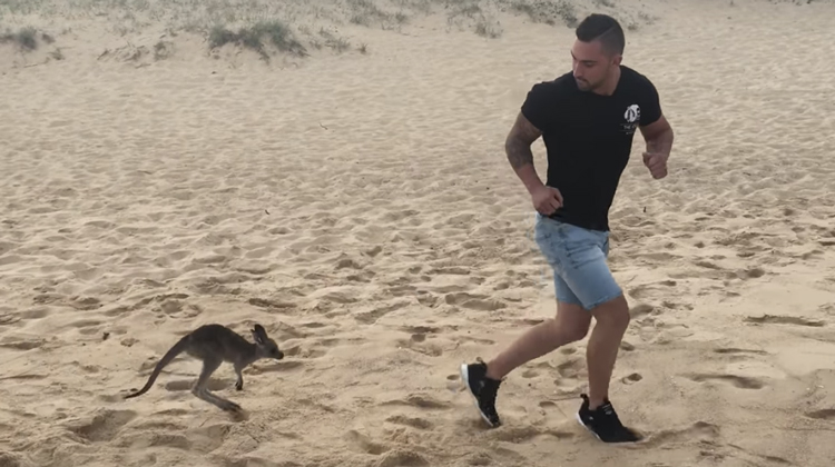 man being chased by baby kangaroo on beach
