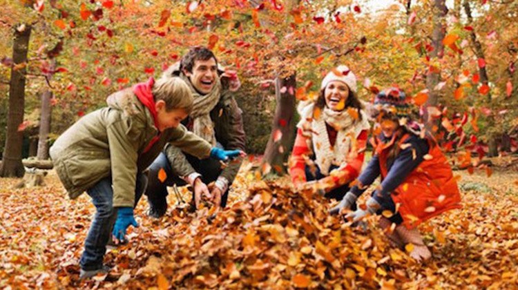 Excited Fall 13 Creative Autumn Activities That Will