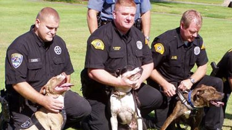 policemen with dogs
