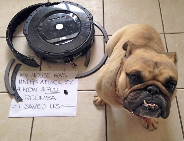 This dog, one in a series of dog shaming photos, was just trying to protect the home from the evil Roomba.