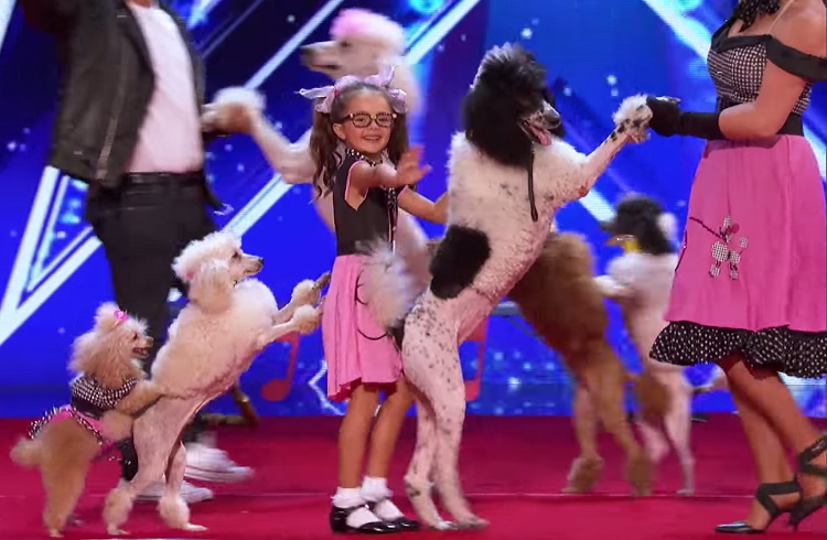 The Pompeyo family recently wowed judges and the audience with their 1950s act involving five very talented poodles.