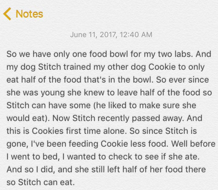 This Dog Only Eats Half Of Her Food, But Owner's Explanation Has The