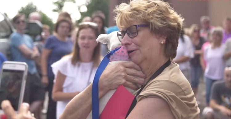 Dozens of people wait outside of a PetSmart for a 32-foot trailer filled with dogs ready to go to their forever homes to pull up.