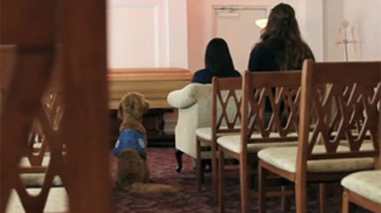 therapy dog sitting in aisle at funeral