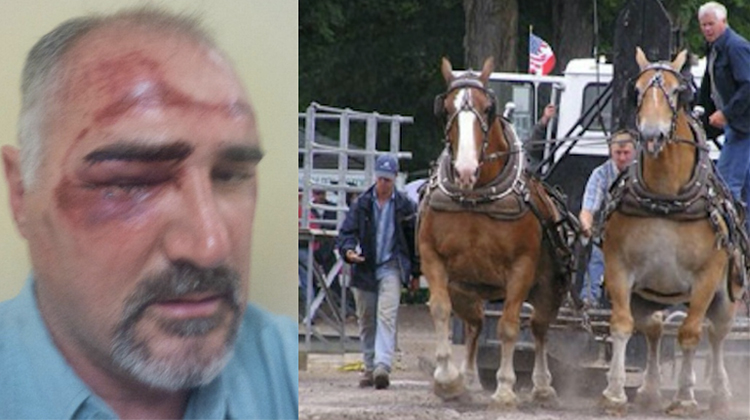 man bruised stampeding horses