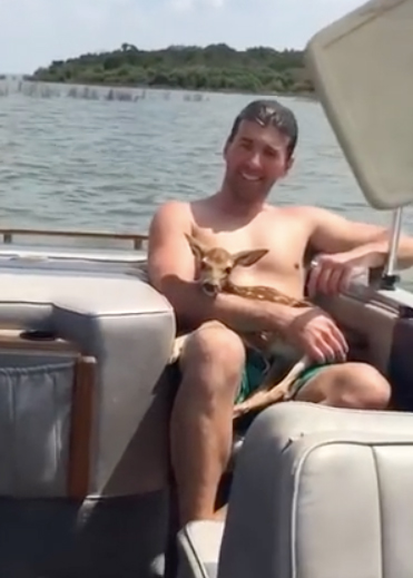 texas man holding baby fawn on boat