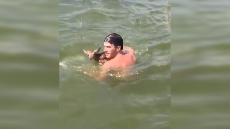 man swimming with animal in arms