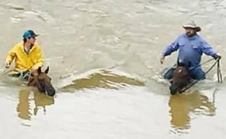 A father and son team who live about 90 minutes north of Houston saddled up after seeing a post from a neighbor asking for help - her horses were trapped in their pen and could barely hold their heads above water.