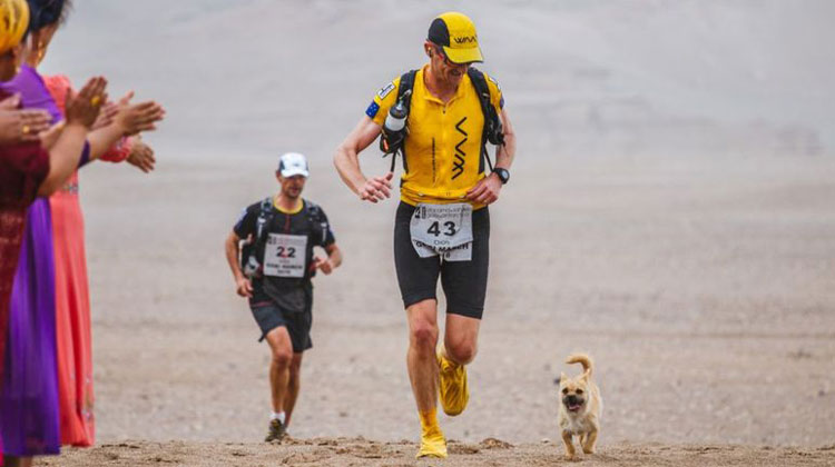 marathon runner with dog who follows him