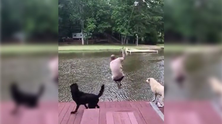 rope swing jump dog goes nuts