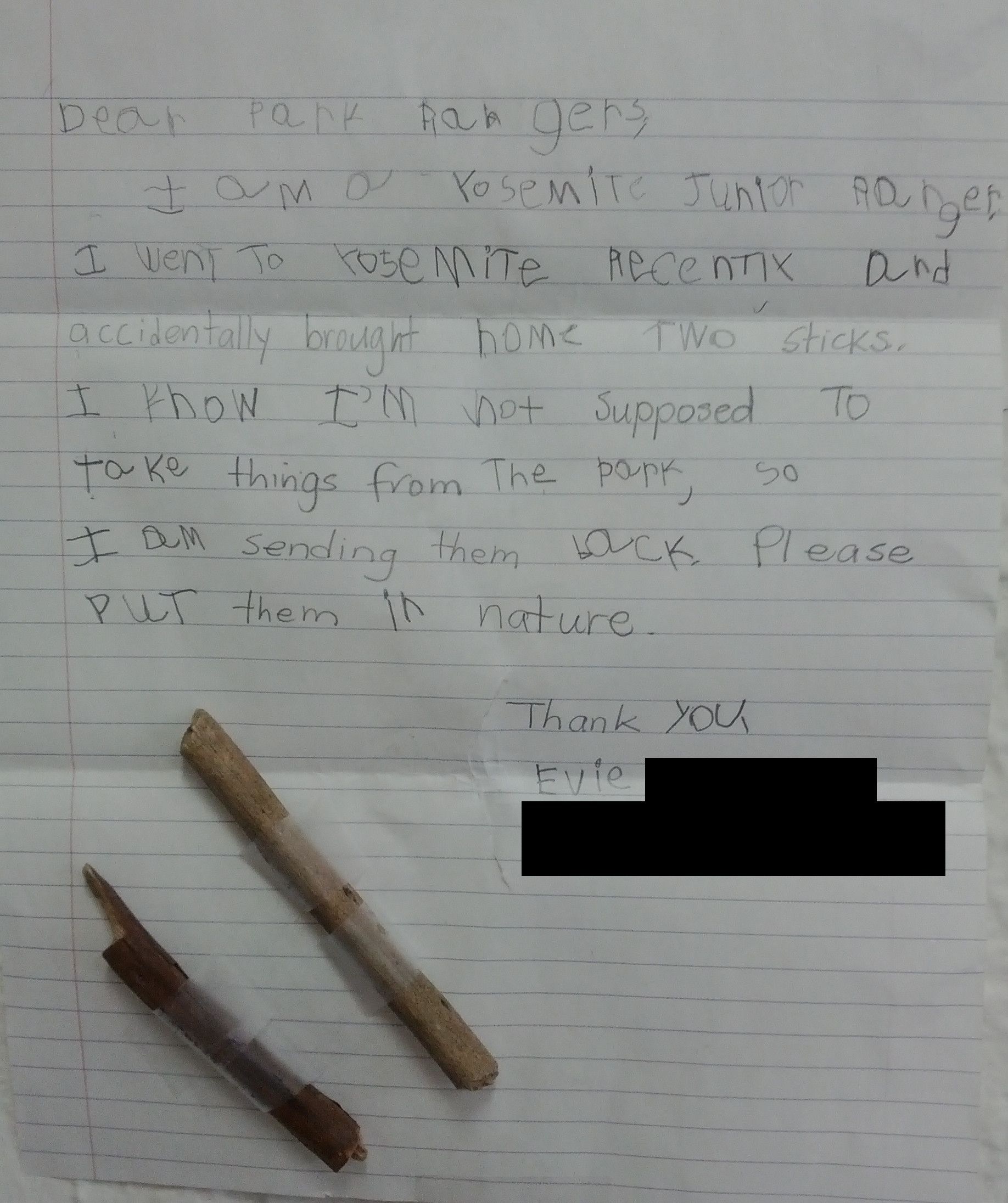 Little Evie realized she left Yosemite with some contraband - two sticks - so she mailed them back with the cutest letter ever penned by a visitor.