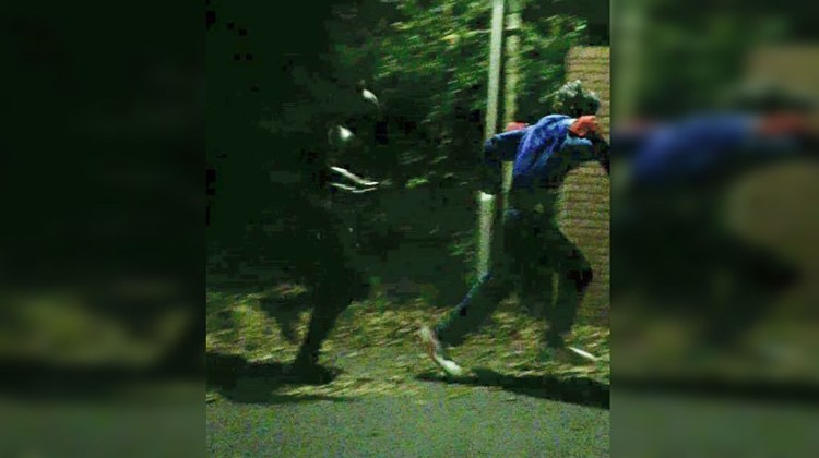 batman chasing clown at night