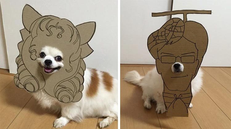 Mametaro chihuahua cardboard cutouts