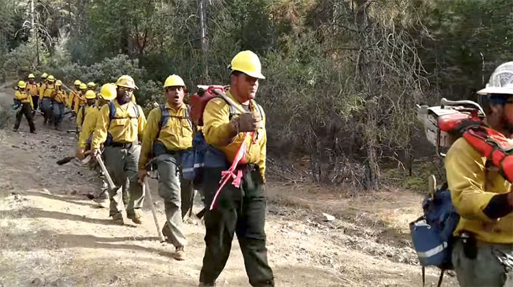 samoan firefighters