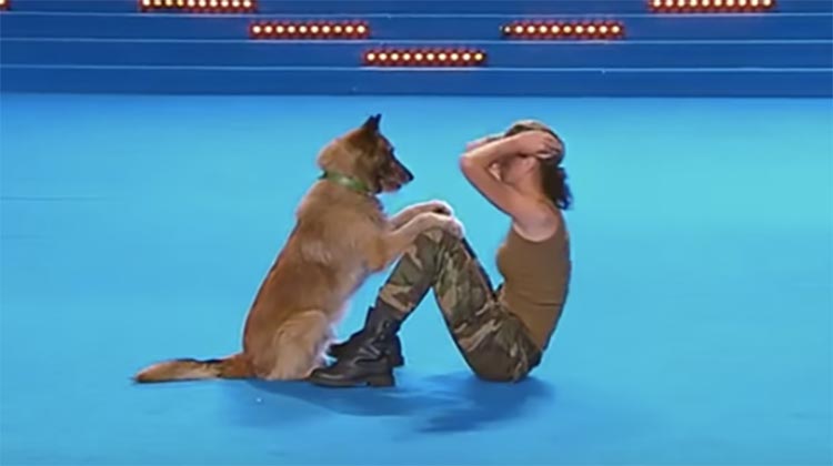 military dog and trainer
