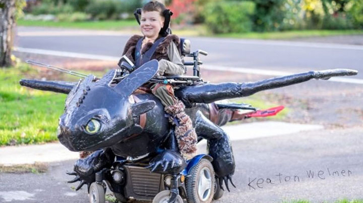 how to train your dragon wheelchair