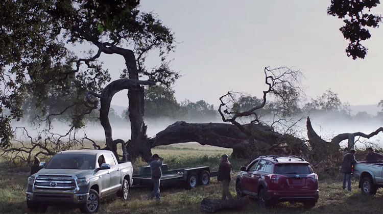 toyota tree commercial