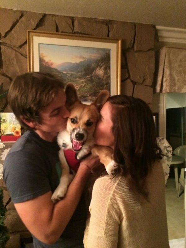 dog doesn't like kisses
